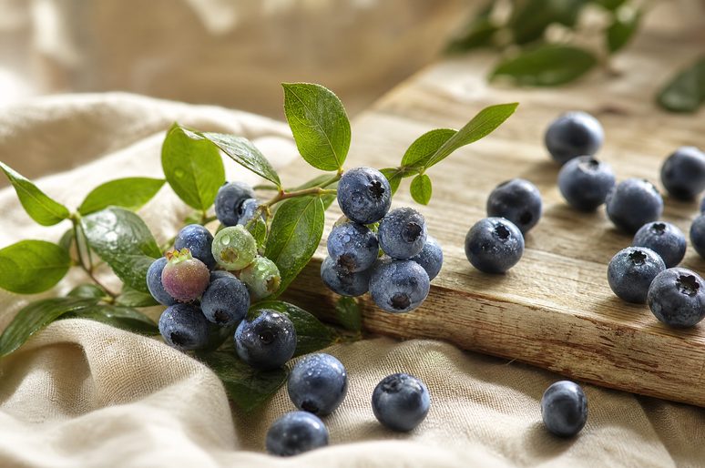 Blueberries on the branch with leaves